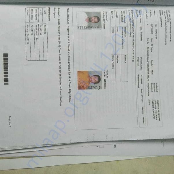 Medical Report