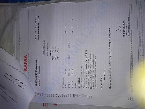 Document