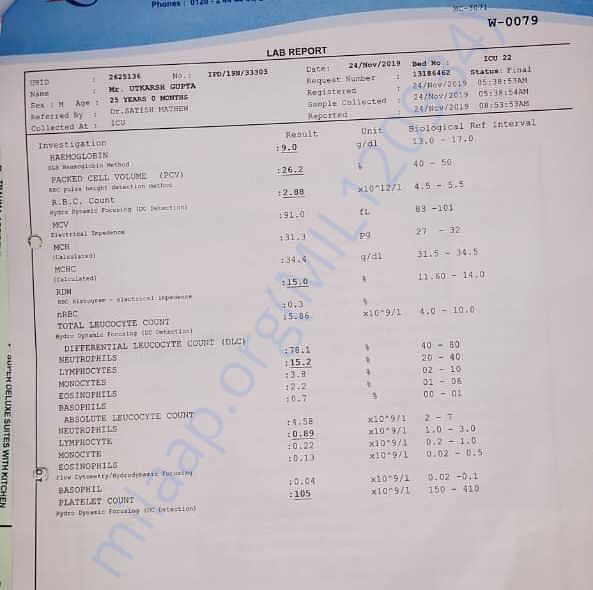 Medical Report