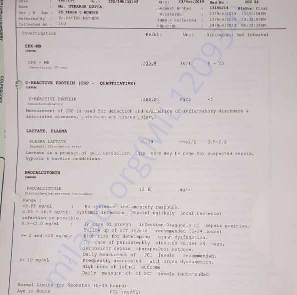 Medical Report