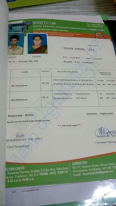 Document