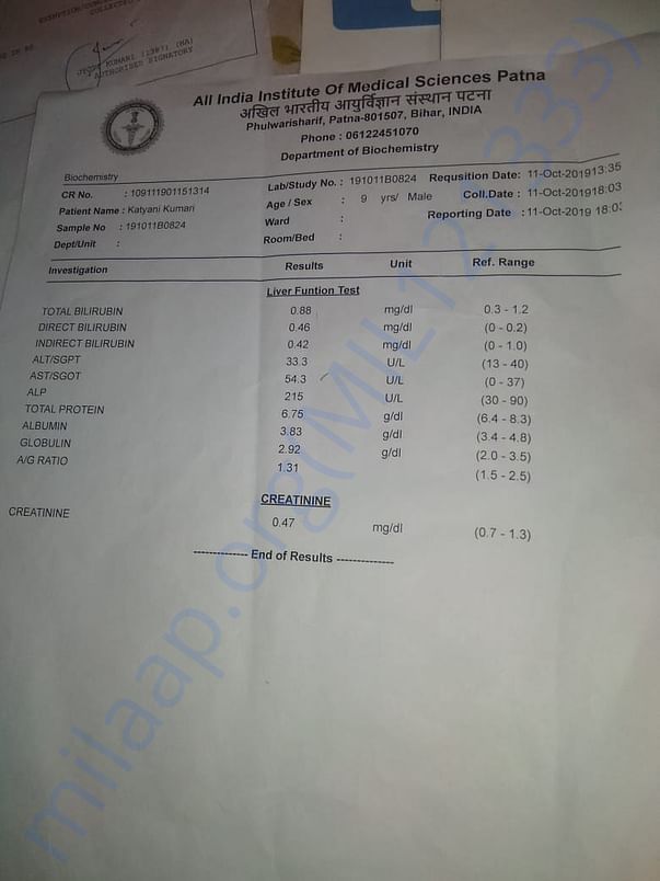 Report