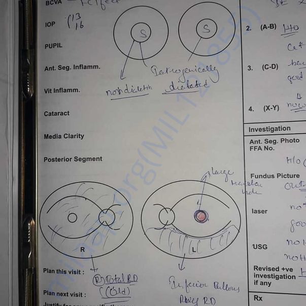 Medical Report