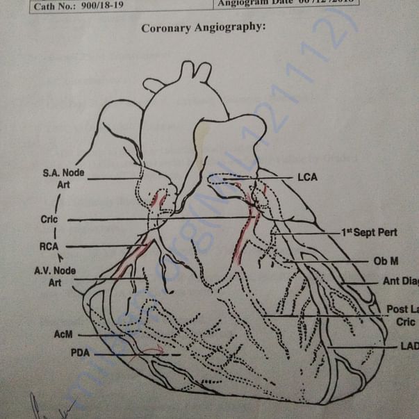 Medical Report