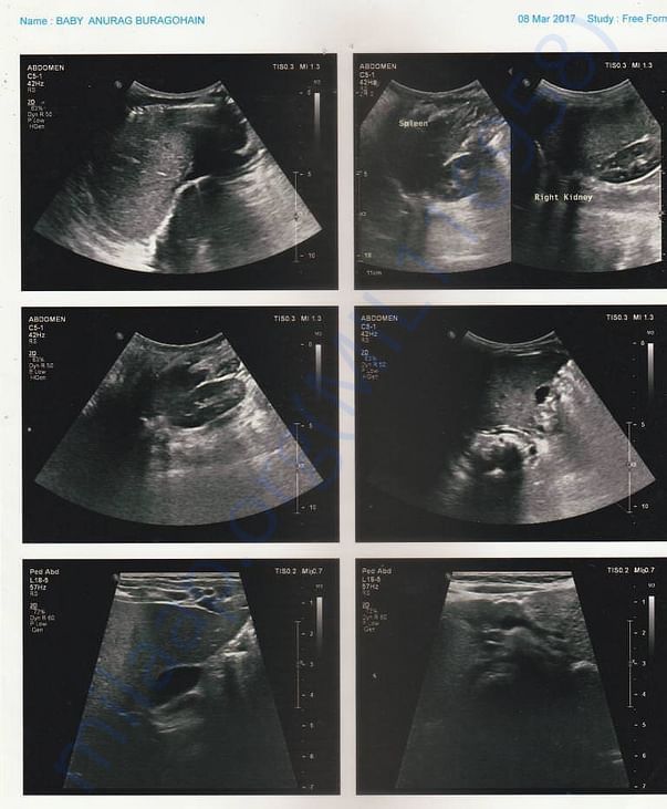 X-RAY REPORTS 6