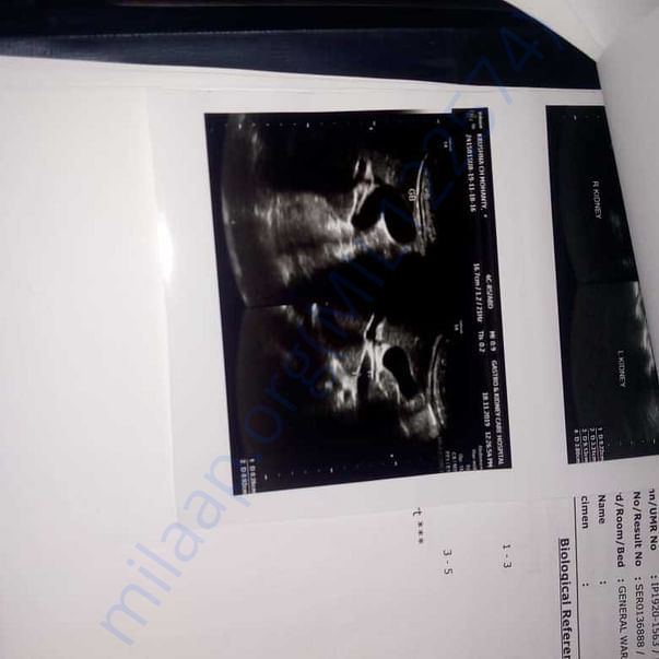 Medical Report