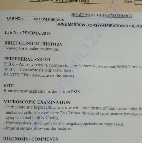 Admission letter