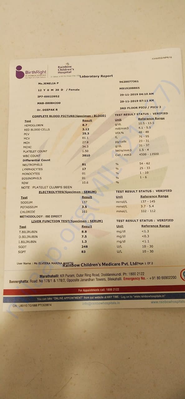 Document