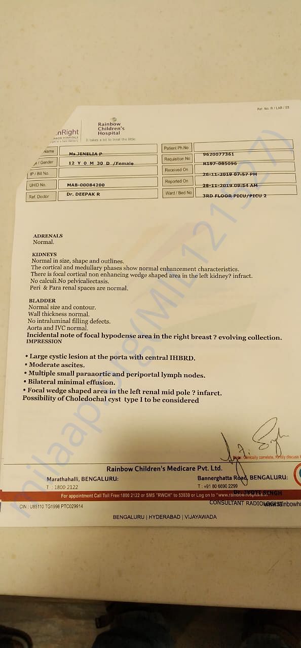 Document