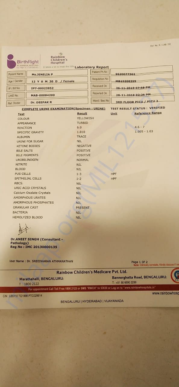 Document