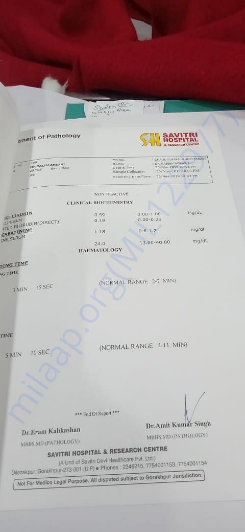 Medical Report 2