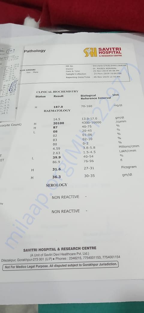 Medical Report 4