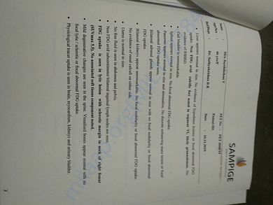 document 5