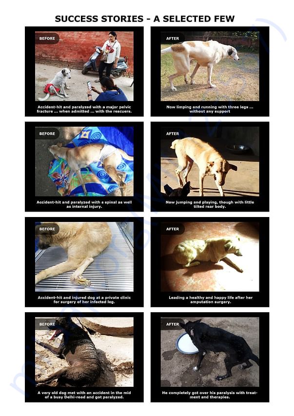 Selected cases successfully recovered and Rehabilitated