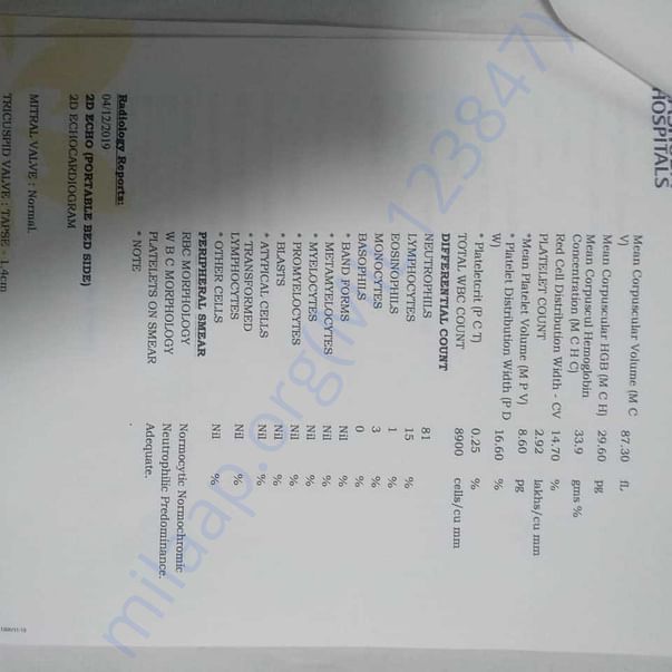 Medical Report