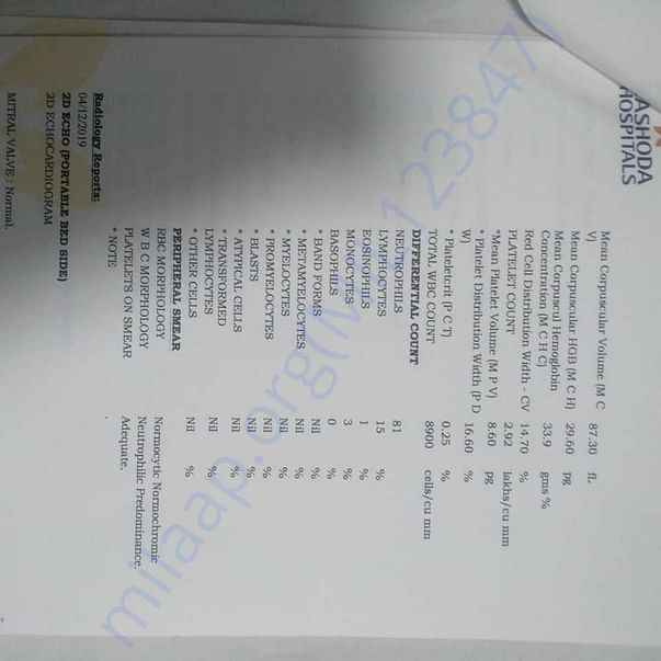 Medical Report