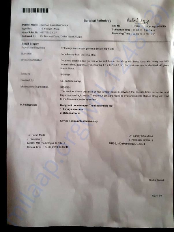 document 2