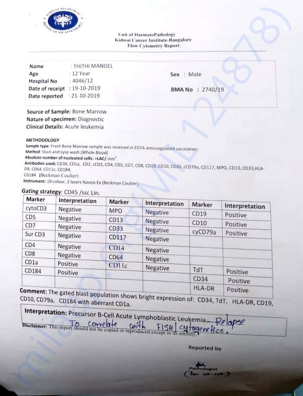Bone marrow test report