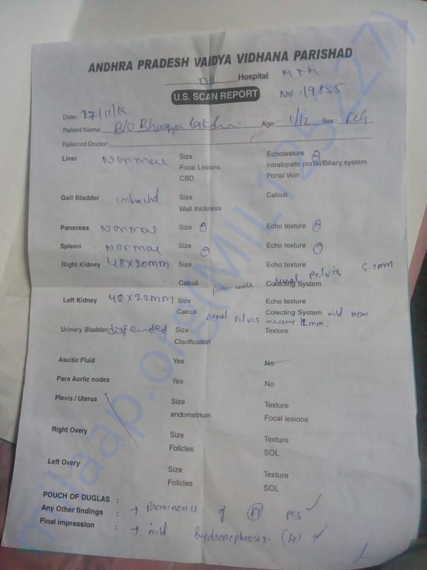 Document