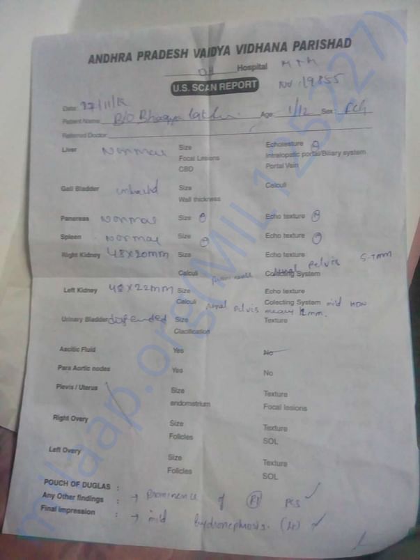 Document