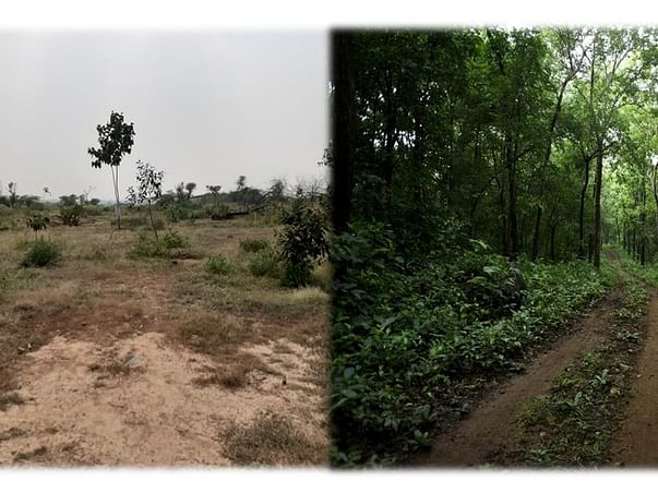 Creating Aravalis Bio-Diversity Parks