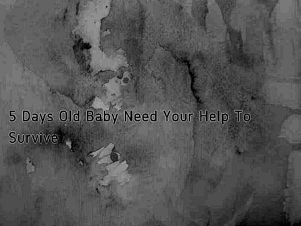 5 Days Old Baby Need Your Help To Survive