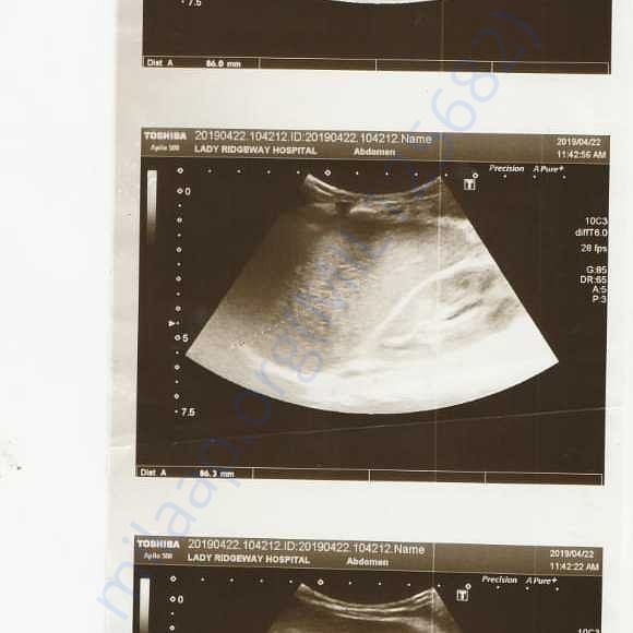 Medical Report