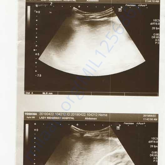 Medical Report