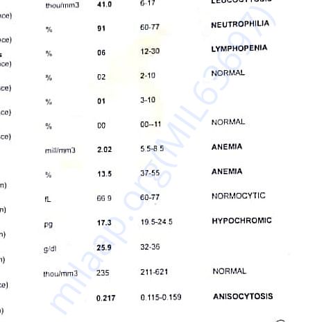 Medical Report