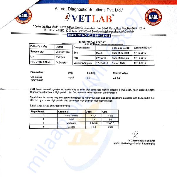 Medical Report