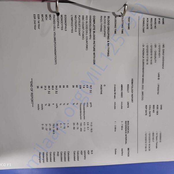 Medical Report