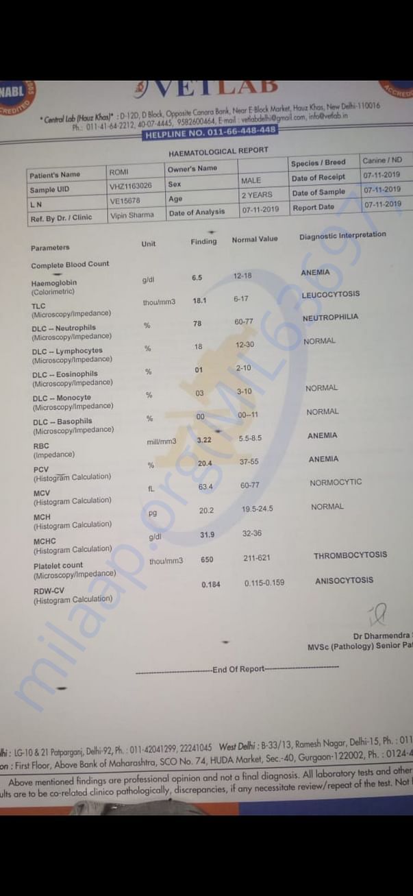 Romy's reports