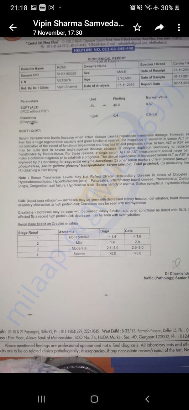 Medical reports