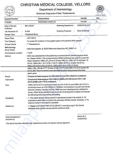 Medical Report