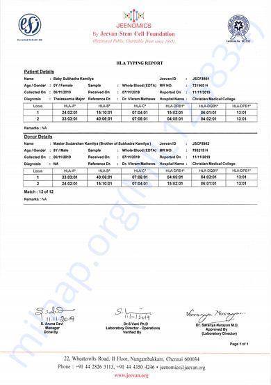 Medical Report