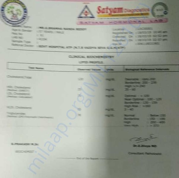 Medical Report