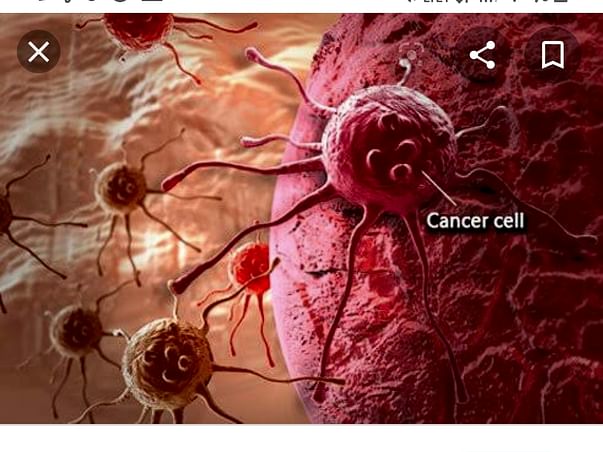 Help P Gowri Fight Blood Cancer