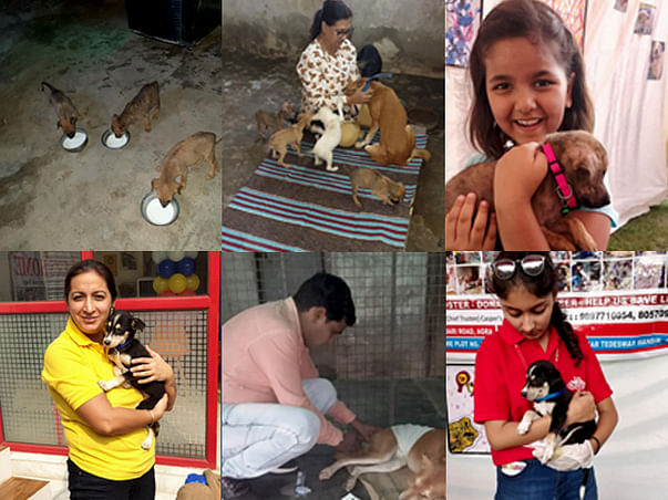Humans for Dogs