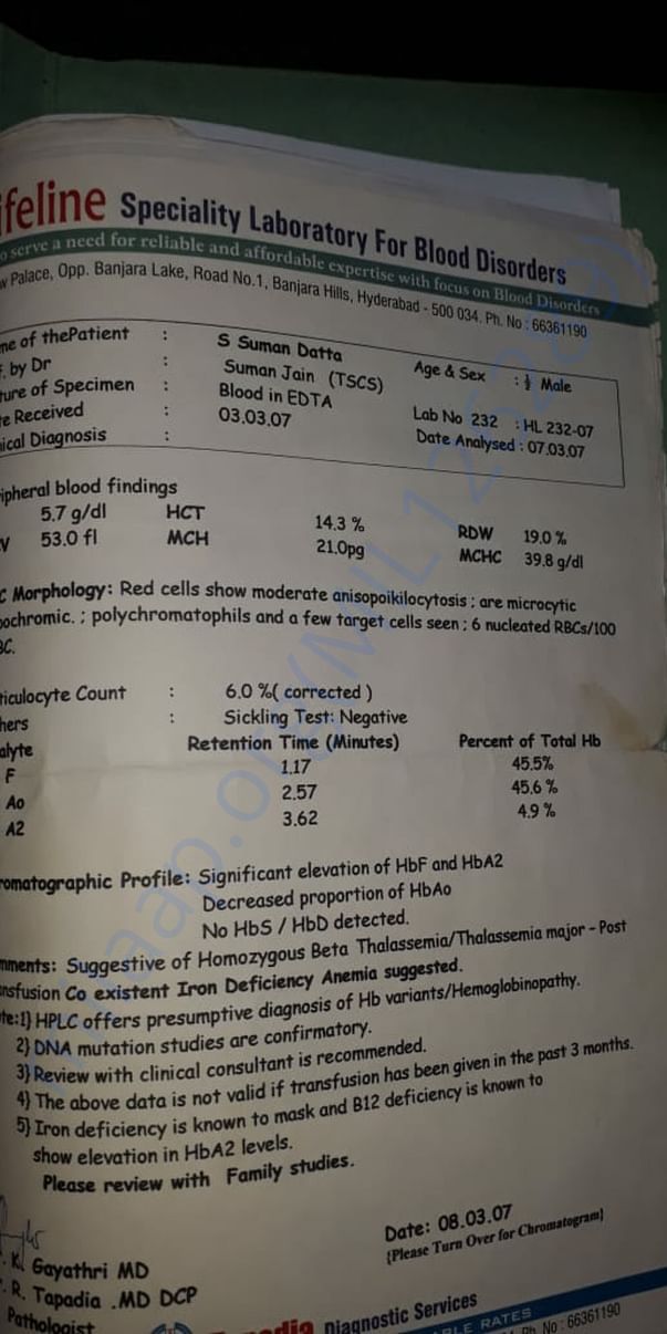 Document