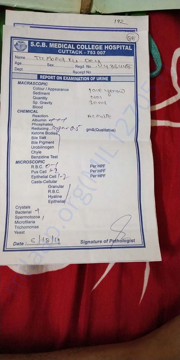 document 1