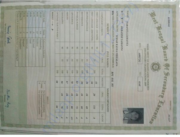 document 6