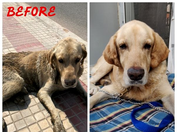 Bruno the blind n deaf soul needs ur help