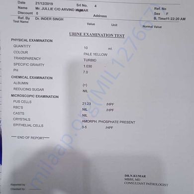 Urine Culture Report