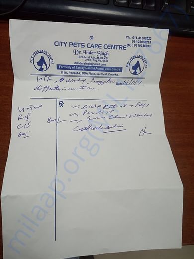 Doctor 's latest slip before xray