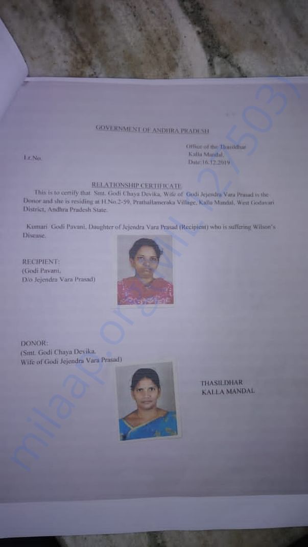 Transplantation supporting documents