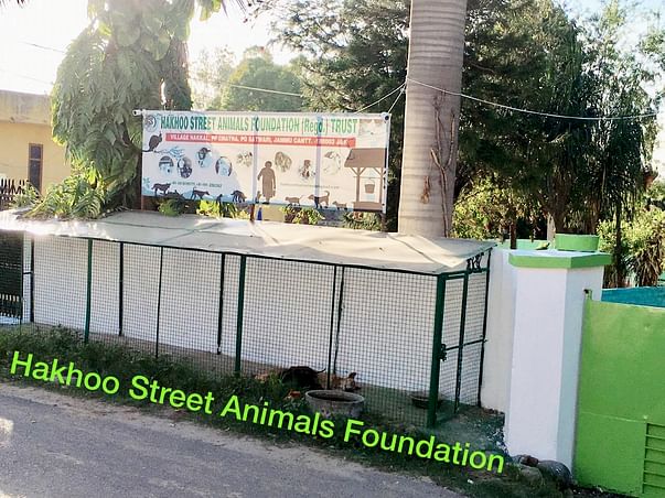 Help Us With Donation Countless Street Animals In Jammu Are Struggling