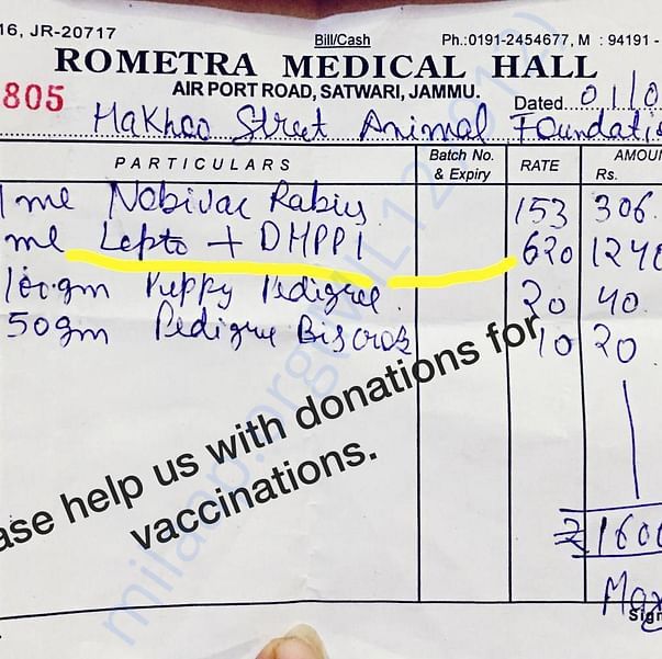 Medical Bill