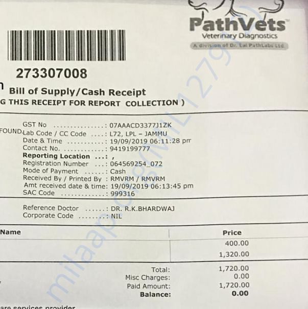 Medical Bill