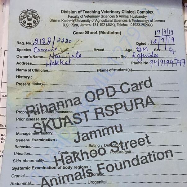 Bill of treatment