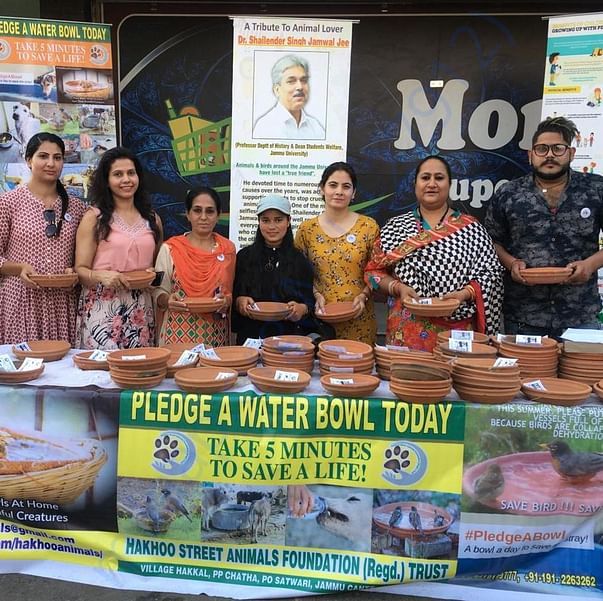 Pledge a water bowl campaign